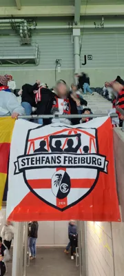 Flag for 25/26|EuropaLeague|8. Spieltag]: Lille OSC  (2026-01-29)