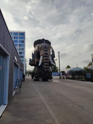 Trip report image