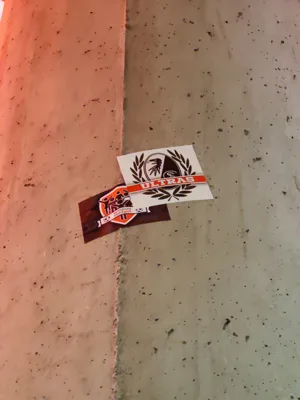 Trip report image