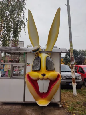 Trip report image