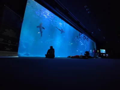 Trip report image
