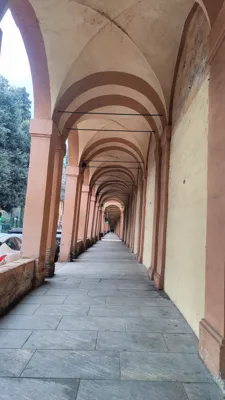 Trip report image