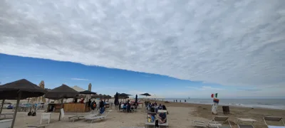 Trip report image