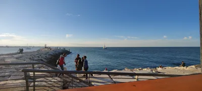 Trip report image