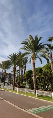 Trip report image