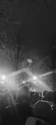 Trip report image