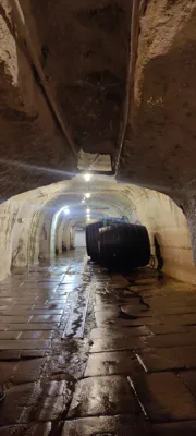 Trip report image