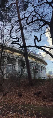 Trip report image