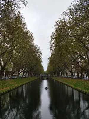 Trip report image