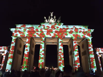 Trip report image
