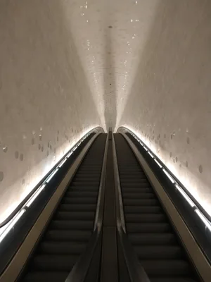 Trip report image