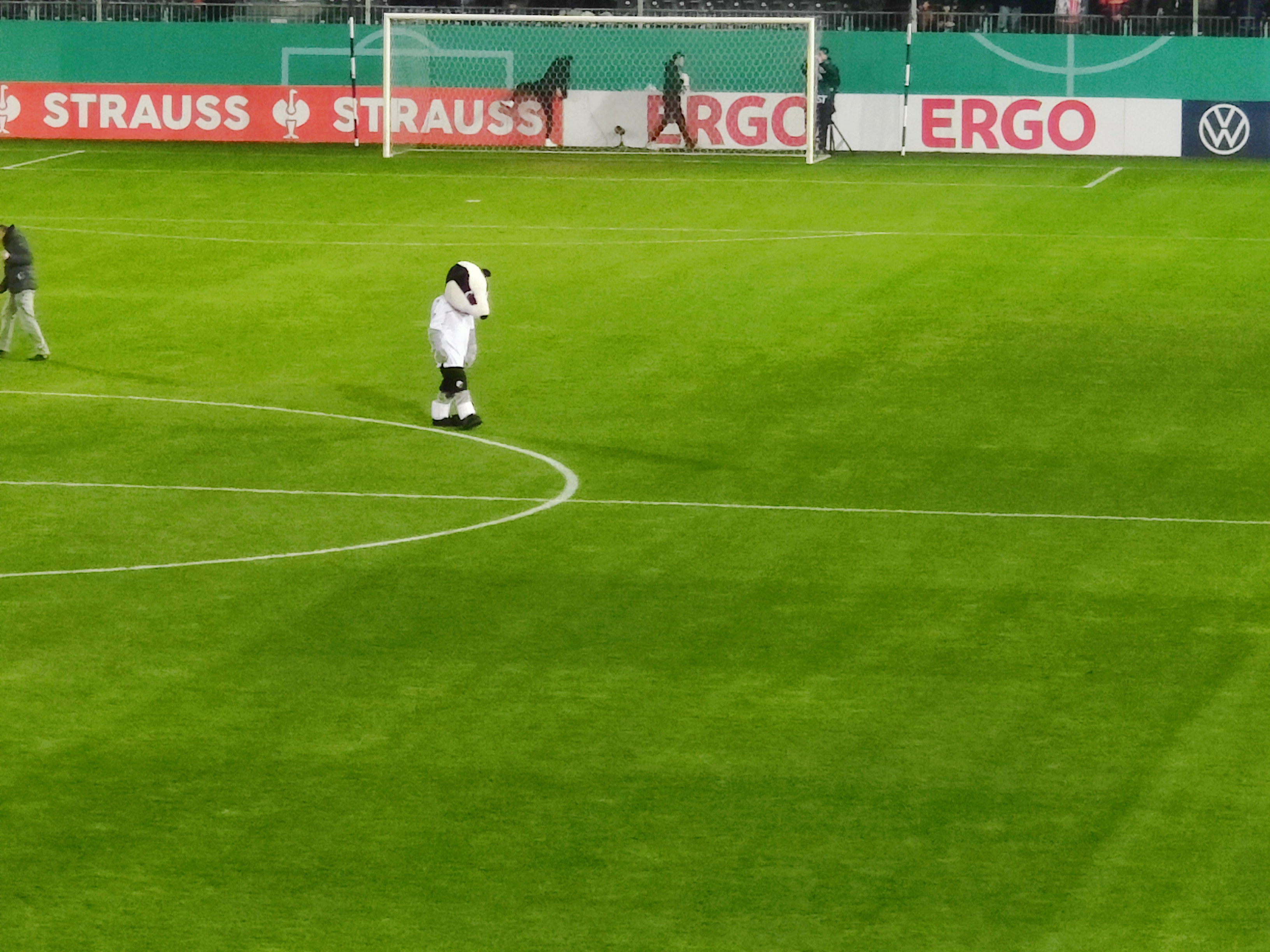 SV Sandhausen