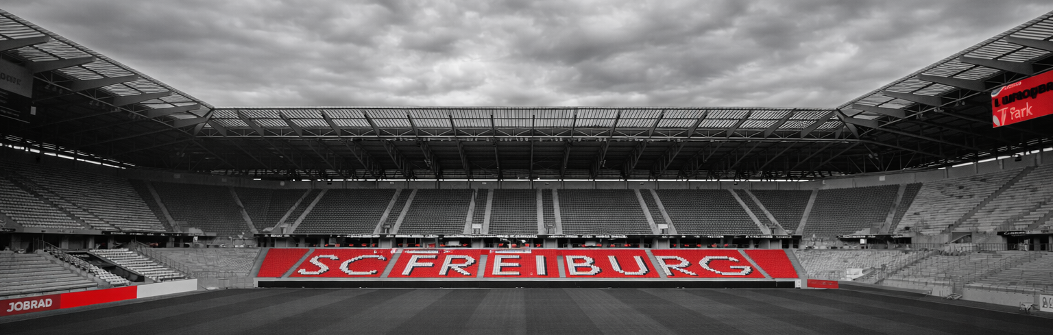 SC Freiburg stadium view